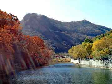 管家婆黑白马报图库，花链